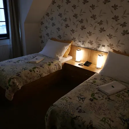 拉德尼斯酒店 4*