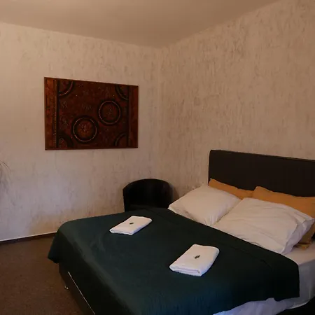 酒店 拉德尼斯酒店