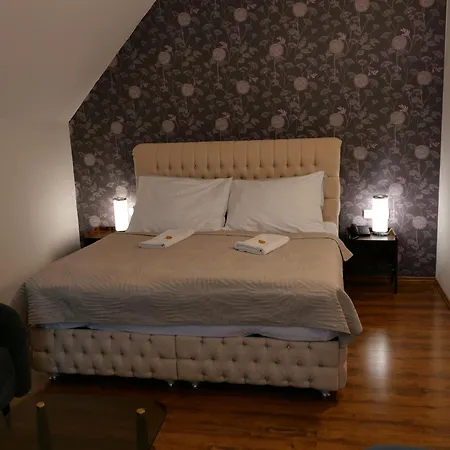 酒店 拉德尼斯酒店 4*