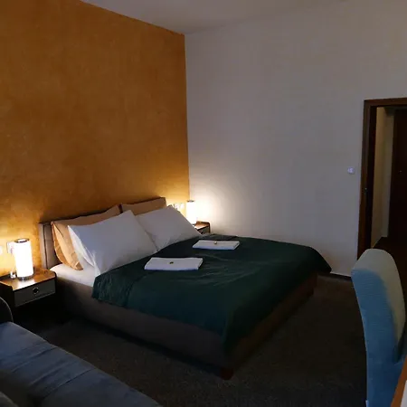 酒店 拉德尼斯酒店 4*