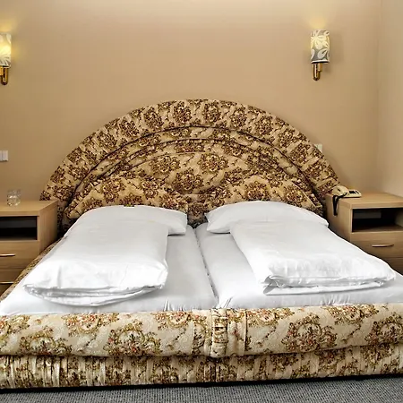 酒店 拉德尼斯酒店