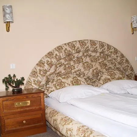 拉德尼斯酒店 4*