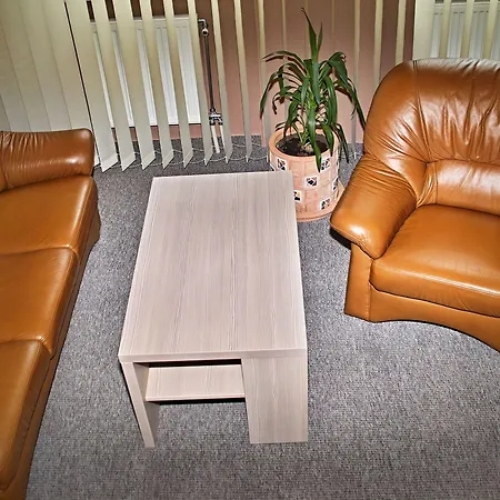 拉德尼斯酒店 4* 利贝雷茨