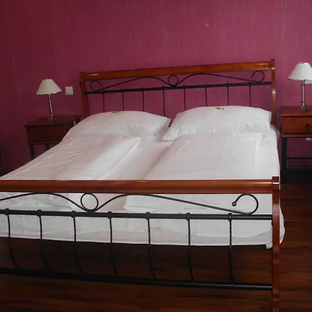 拉德尼斯酒店 4*