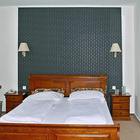 拉德尼斯酒店 4*