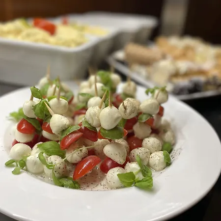 拉德尼斯酒店 利贝雷茨