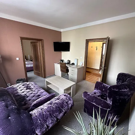 拉德尼斯酒店 酒店