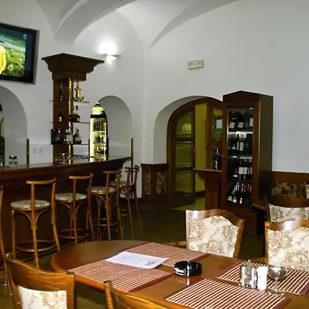 Hotel Radnice 4*